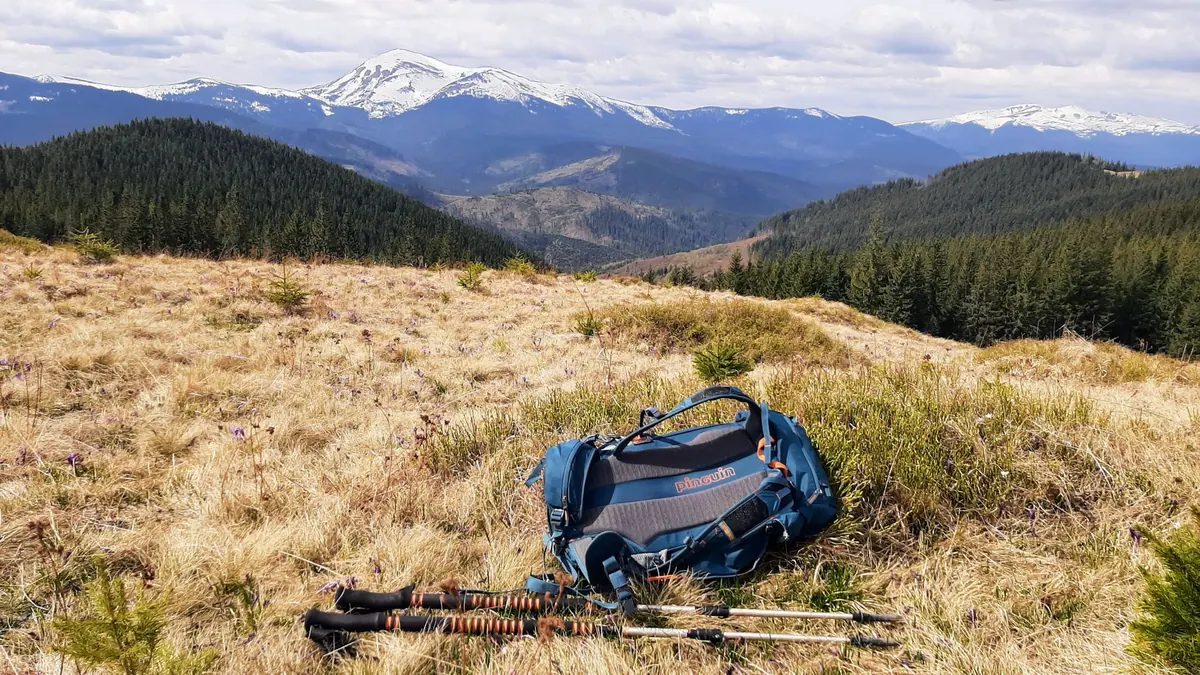 Trekking Poles vs. Hiking Staff: Which Should You Carry?